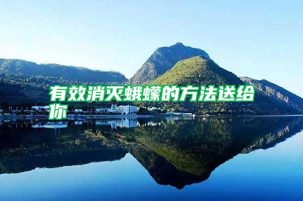 有效消滅蛾蠓的方法送給你