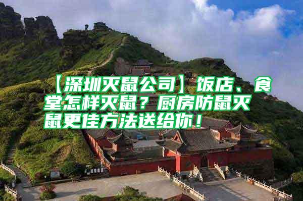【深圳滅鼠公司】飯店、食堂怎樣滅鼠？廚房防鼠滅鼠更佳方法送給你！