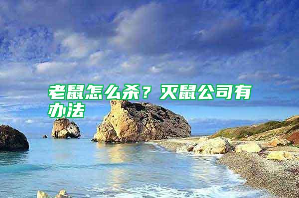 老鼠怎么殺？滅鼠公司有辦法