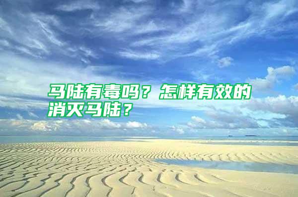 馬陸有毒嗎？怎樣有效的消滅馬陸？