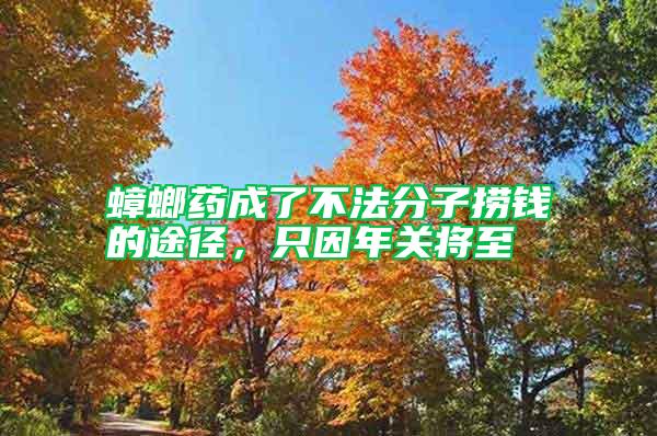 蟑螂藥成了不法分子撈錢(qián)的途徑，只因年關(guān)將至
