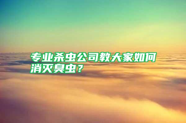 專業殺蟲公司教大家如何消滅臭蟲？