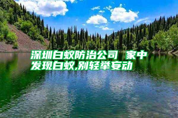 深圳白蟻防治公司 家中發(fā)現(xiàn)白蟻,別輕舉妄動