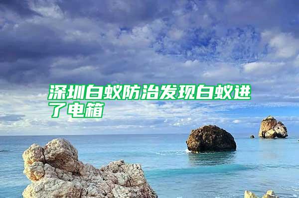 深圳白蟻防治發(fā)現白蟻進了電箱