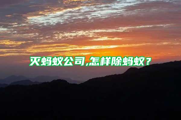 滅螞蟻公司,怎樣除螞蟻？
