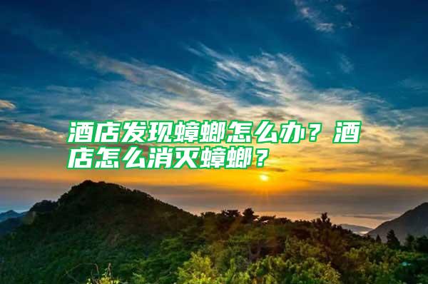 酒店發(fā)現(xiàn)蟑螂怎么辦？酒店怎么消滅蟑螂？