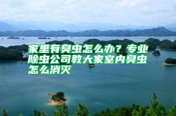 家里有臭蟲怎么辦？專業除蟲公司教大家室內臭蟲怎么消滅