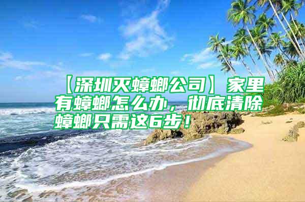 【深圳滅蟑螂公司】家里有蟑螂怎么辦，徹底清除蟑螂只需這6步！