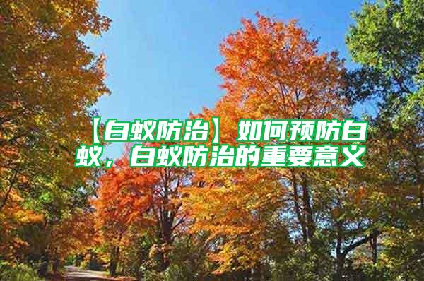 【白蟻防治】如何預防白蟻，白蟻防治的重要意義