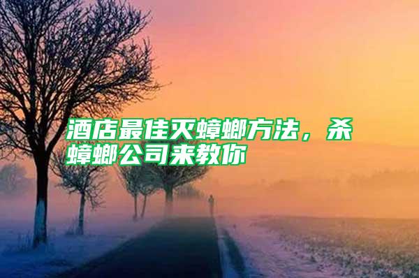 酒店最佳滅蟑螂方法，殺蟑螂公司來教你