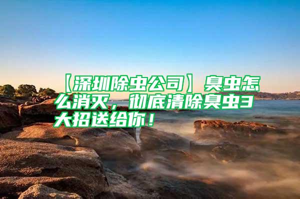 【深圳除蟲公司】臭蟲怎么消滅，徹底清除臭蟲3大招送給你！