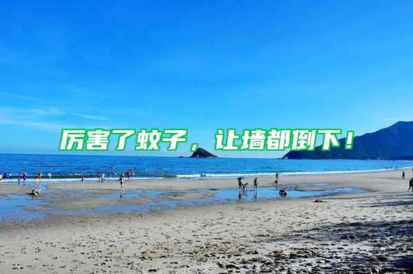 厲害了蚊子，讓墻都倒下！