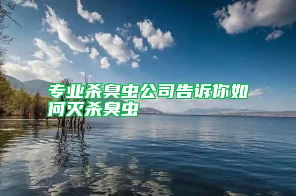 專業(yè)殺臭蟲公司告訴你如何滅殺臭蟲