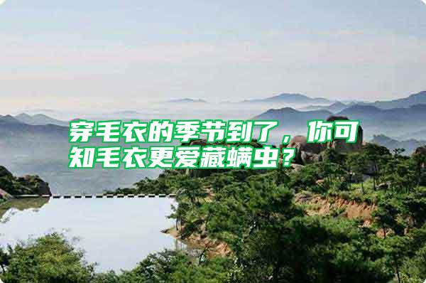 穿毛衣的季節到了，你可知毛衣更愛藏螨蟲？