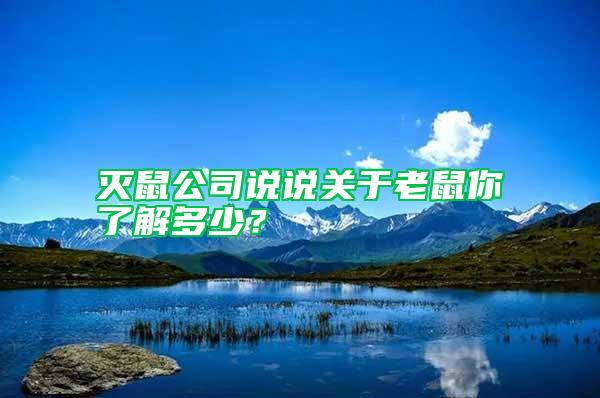 滅鼠公司說說關于老鼠你了解多少？