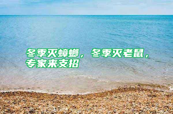 冬季滅蟑螂，冬季滅老鼠，專家來支招