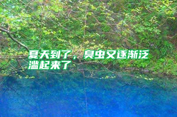 夏天到了，臭蟲又逐漸泛濫起來了