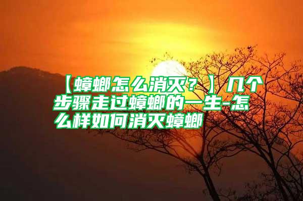 【蟑螂怎么消滅？】幾個(gè)步驟走過(guò)蟑螂的一生-怎么樣如何消滅蟑螂
