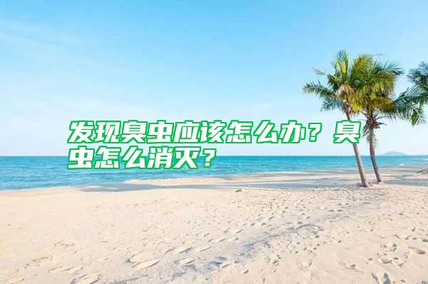 發現臭蟲應該怎么辦？臭蟲怎么消滅？