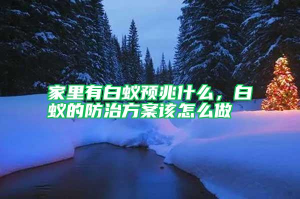 家里有白蟻預兆什么，白蟻的防治方案該怎么做