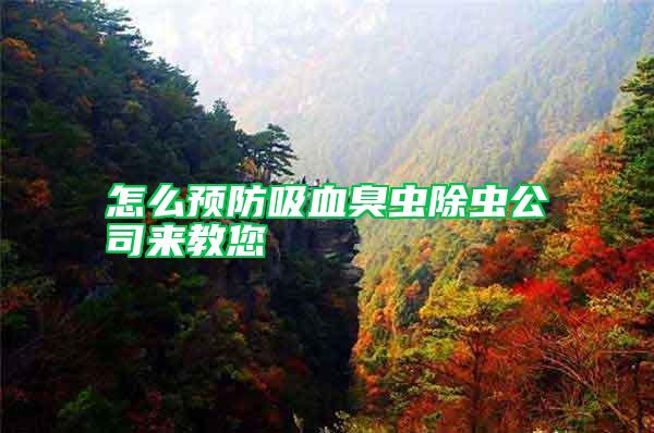 怎么預(yù)防吸血臭蟲除蟲公司來教您