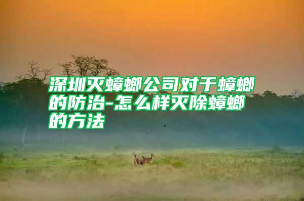 深圳滅蟑螂公司對(duì)于蟑螂的防治-怎么樣滅除蟑螂的方法