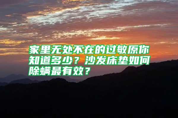 家里無處不在的過敏原你知道多少？沙發(fā)床墊如何除螨最有效？