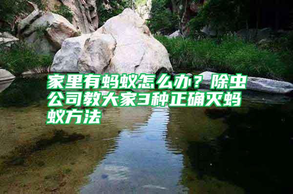 家里有螞蟻怎么辦？除蟲公司教大家3種正確滅螞蟻方法