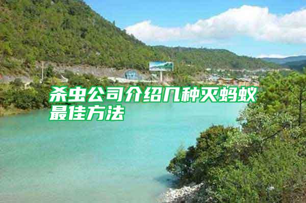 殺蟲公司介紹幾種滅螞蟻?zhàn)罴逊椒?/></p>
             <p style=