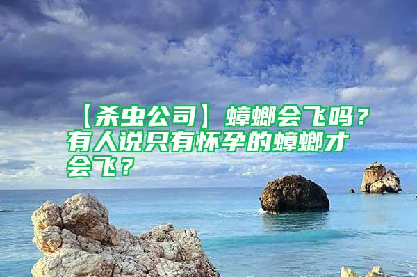 【殺蟲公司】蟑螂會(huì)飛嗎？有人說(shuō)只有懷孕的蟑螂才會(huì)飛？