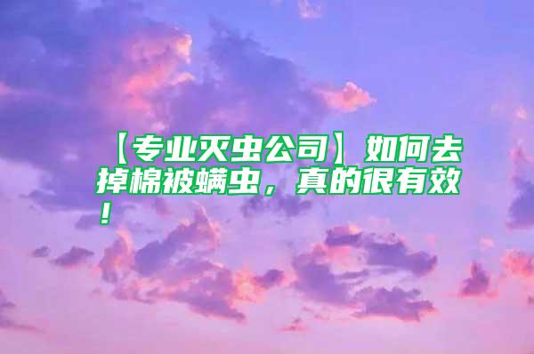 【專(zhuān)業(yè)滅蟲(chóng)公司】如何去掉棉被螨蟲(chóng)，真的很有效！