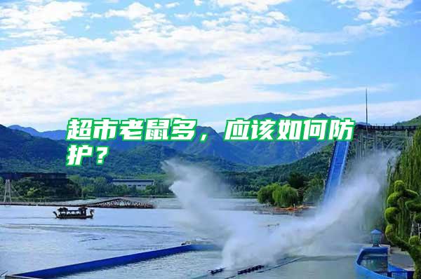超市老鼠多，應(yīng)該如何防護(hù)？
