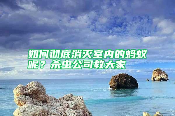 如何徹底消滅室內(nèi)的螞蟻呢？殺蟲公司教大家