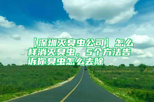 【深圳滅臭蟲公司】怎么樣消滅臭蟲，5個方法告訴你臭蟲怎么去除
