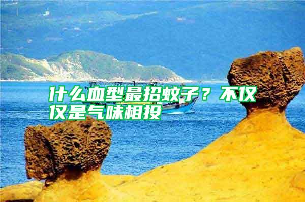 什么血型最招蚊子？不僅僅是氣味相投