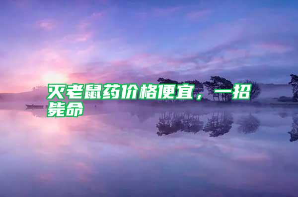 滅老鼠藥價格便宜，一招斃命