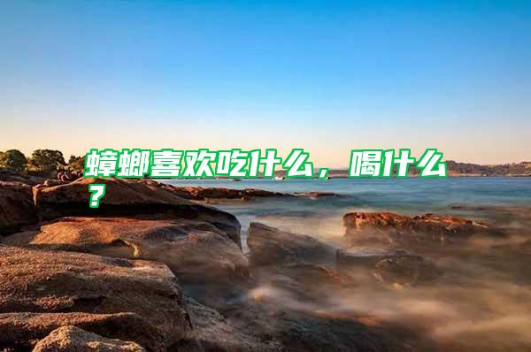 蟑螂喜歡吃什么，喝什么？