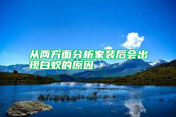 從兩方面分析家裝后會出現(xiàn)白蟻的原因