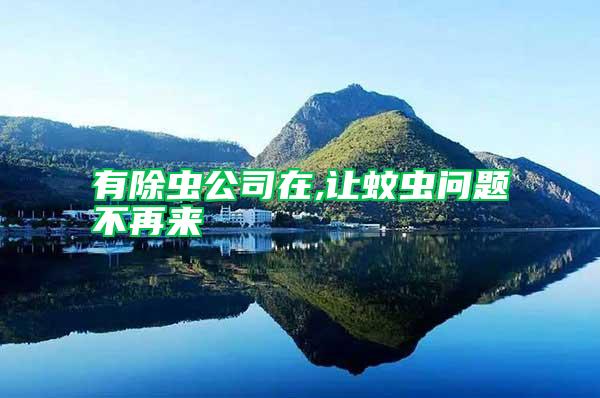 有除蟲(chóng)公司在,讓蚊蟲(chóng)問(wèn)題不再來(lái)