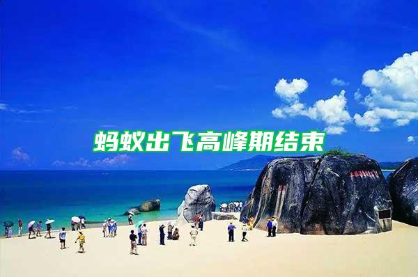 螞蟻出飛高峰期結(jié)束