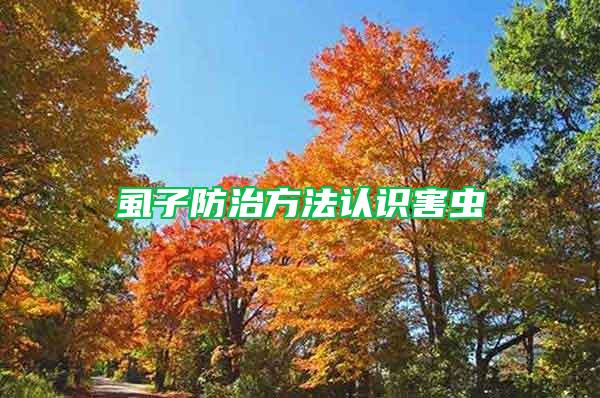 虱子防治方法認(rèn)識(shí)害蟲