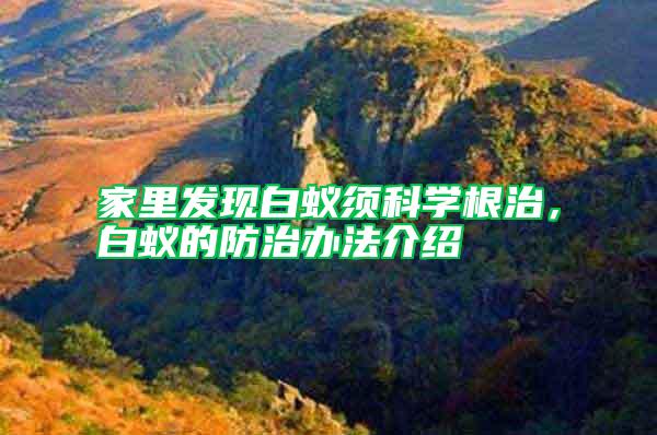 家里發現白蟻須科學根治，白蟻的防治辦法介紹