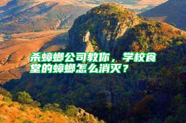 殺蟑螂公司教你，學(xué)校食堂的蟑螂怎么消滅？