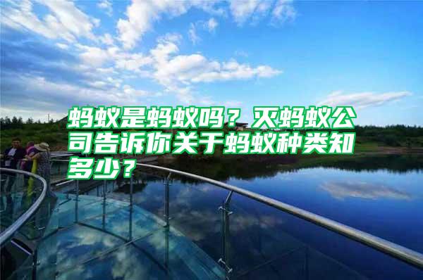 螞蟻是螞蟻嗎？滅螞蟻公司告訴你關(guān)于螞蟻種類(lèi)知多少？