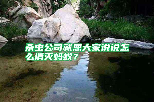 殺蟲(chóng)公司就恩大家說(shuō)說(shuō)怎么消滅螞蟻？