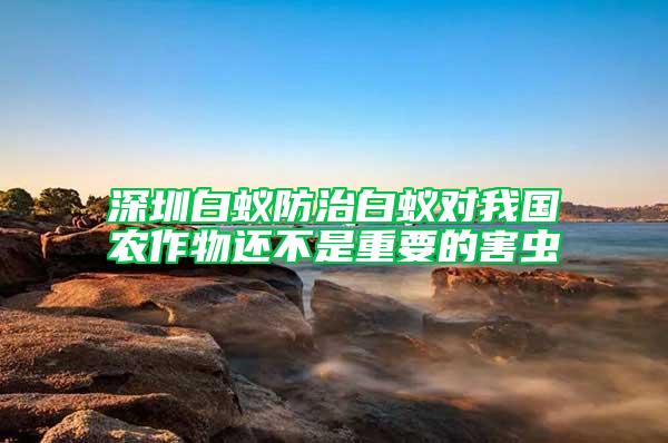 深圳白蟻防治白蟻對我國農(nóng)作物還不是重要的害蟲