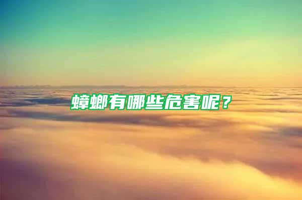 蟑螂有哪些危害呢？