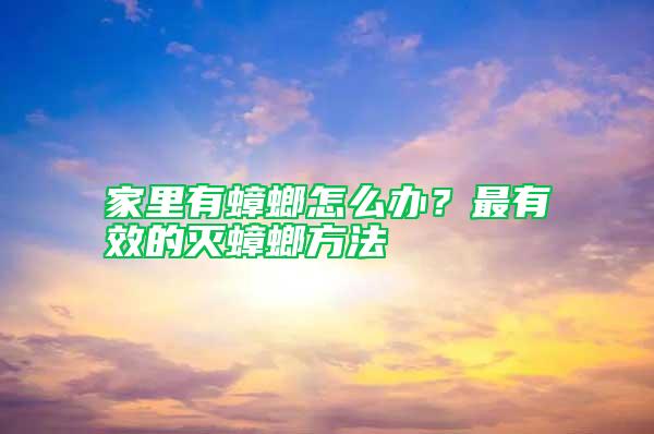 家里有蟑螂怎么辦？最有效的滅蟑螂方法