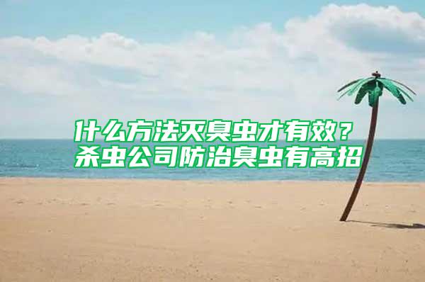 什么方法滅臭蟲才有效？殺蟲公司防治臭蟲有高招