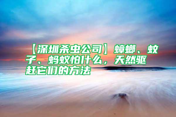 【深圳殺蟲公司】蟑螂、蚊子、螞蟻怕什么，天然驅趕它們的方法